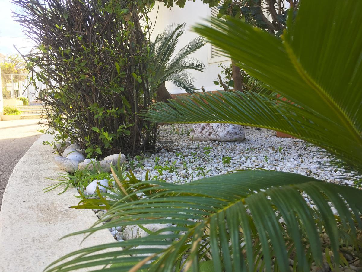 Anacasa Oasis Beach II Marineta Ap2116 Дения Экстерьер фото